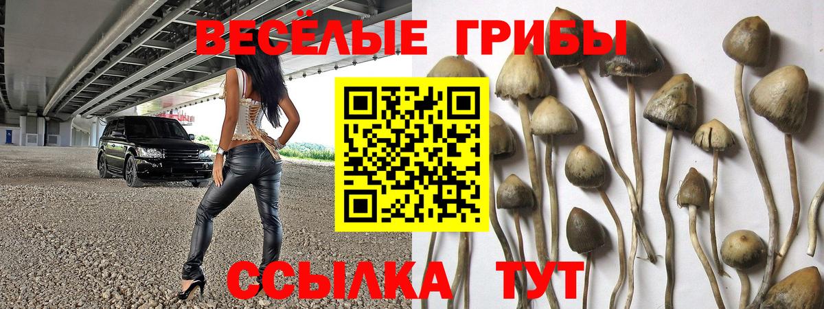 Псилоцибиновые грибы мухоморы Красный Сулин