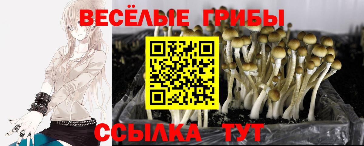 Красный Сулин  купить   Вход с VPN  Галлюциногенные грибы мицелий 